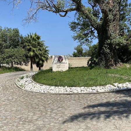 Hotel & Spa Luna Canela Boutique Атлиско Екстериор снимка